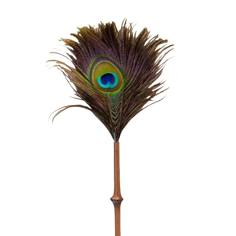 A Peacock Feather Duster showcasing iridescent colors with a prominent eye pattern in blue, green, and gold hues is delicately attached to a slender brown stem reminiscent of Qiong Bamboo, set against a plain white background.